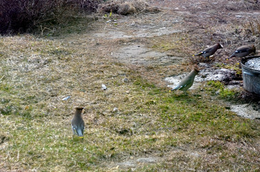 Similar image 22169005