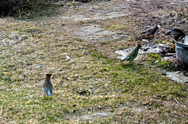 Similar image 22169006