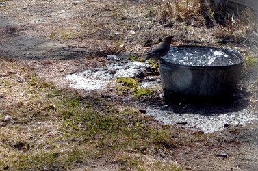 Similar image 22169007