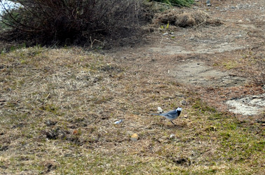 Similar image 22169008