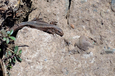 Similar image 22169009