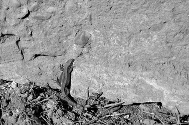 Similar image 22169010