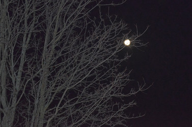 Similar image 22169011