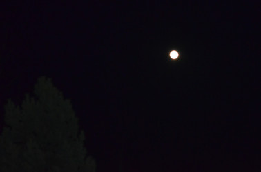 Similar image 22169306