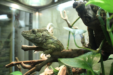 Similar image 22181259