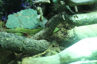 Similar image 22181260