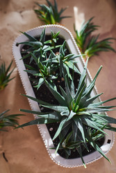 Similar image 22174769