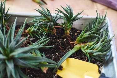 Similar image 22174780