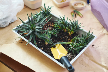 Similar image 22174781