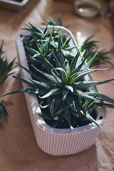 Similar image 22174783