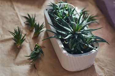 Similar image 22174784