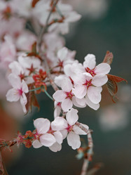 Similar image 22169310