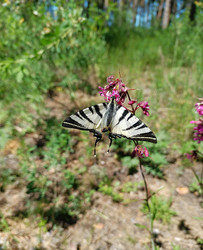 Similar image 22168106