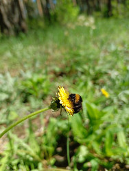 Similar image 22168108