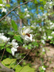 Similar image 22168109