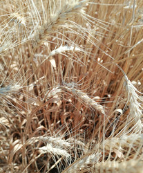 Similar image 22168110