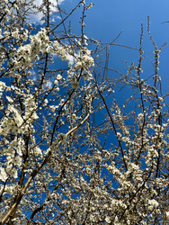 Similar image 22168715