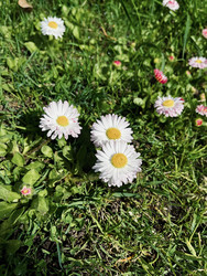 Similar image 22168717