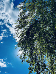 Similar image 22168721