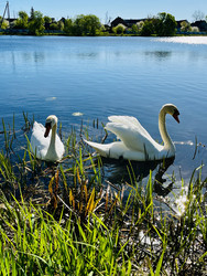 Similar image 22168722