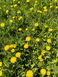 Similar image 22168723