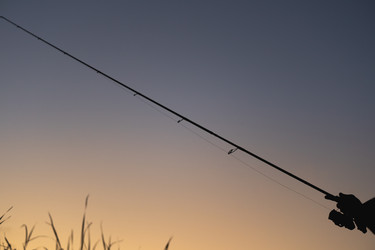 Similar image 22169395