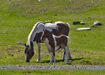 Similar image 22168124