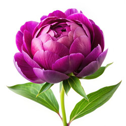 Similar image 22167700