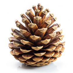 Similar image 22168325