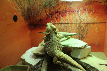 Similar image 22181262