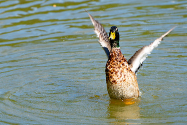 Similar image 22174788