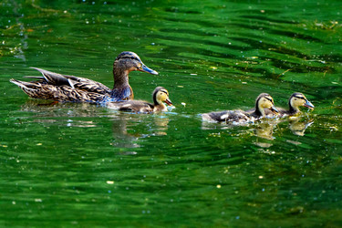 Similar image 22174790