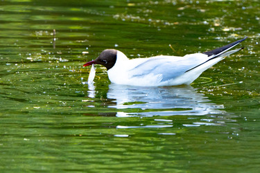 Similar image 22174791