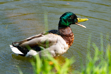 Similar image 22174793