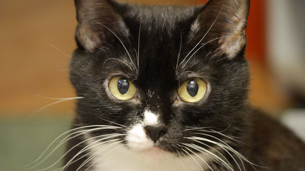 Similar image 22171144