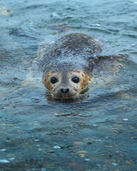 Similar image 22171145