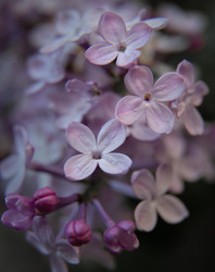 Similar image 22171147