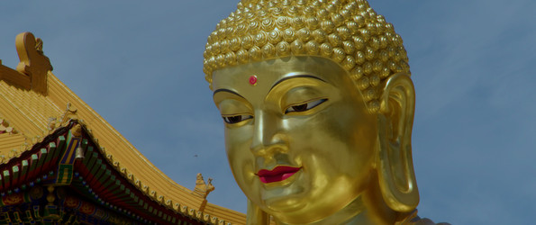 Similar image 22171173