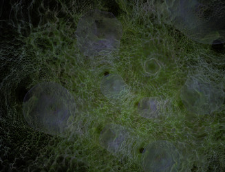 Similar image 22167455