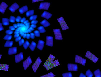 Similar image 22167460