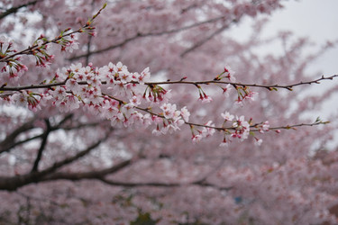 Similar image 22167514