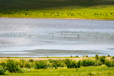 Similar image 22169397