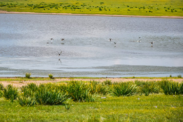 Similar image 22169398