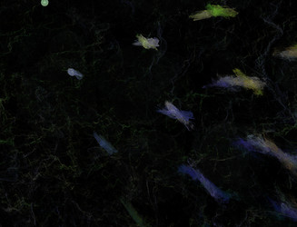 Similar image 22167540