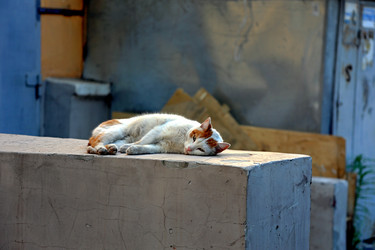 Similar image 22167054