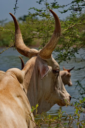 Similar image 22167094