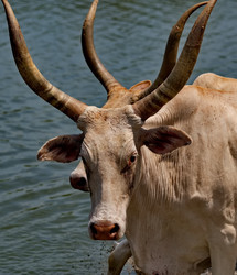 Similar image 22167095