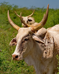 Similar image 22167097