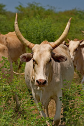 Similar image 22167098