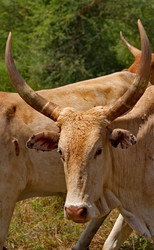 Similar image 22167099